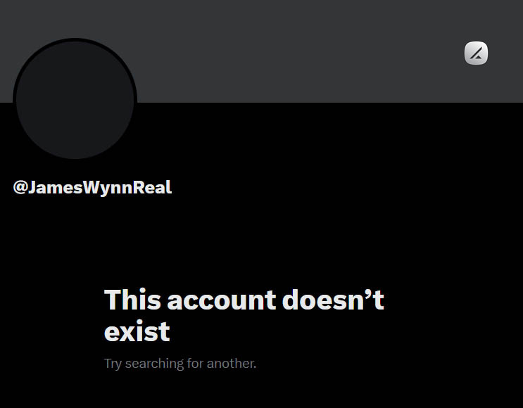 جیمز وین پس از ضررهای سنگین در بازار کریپتو، حساب خود را حذف کرد